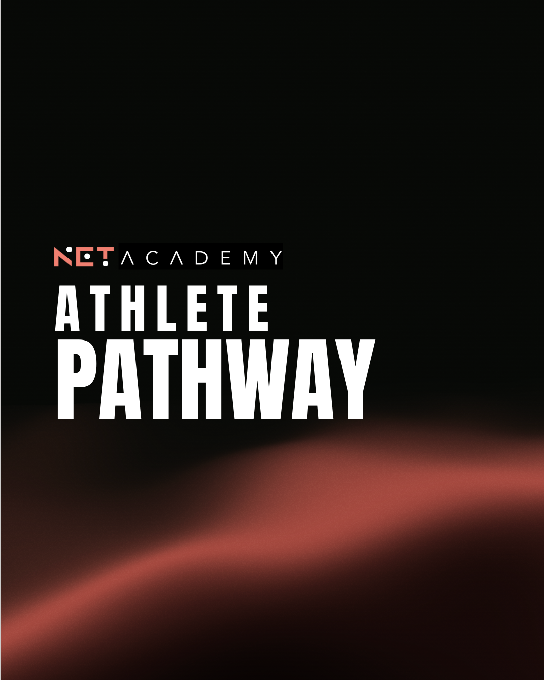 THE NET ACADEMY PATHWAY - Netball Excellence Training