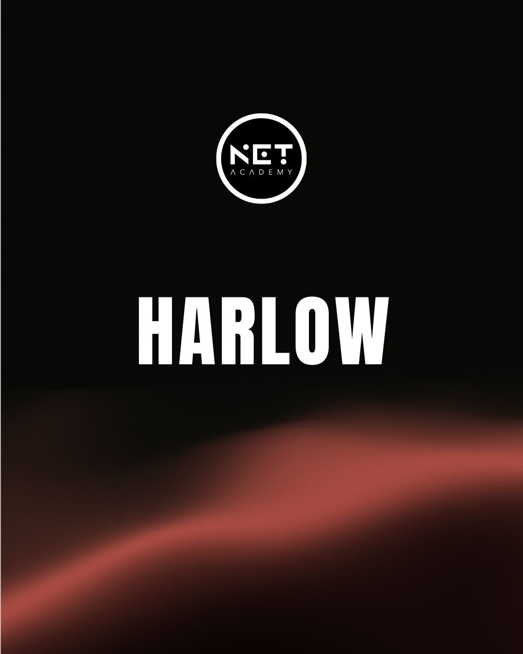 NET ACADEMY | Harlow